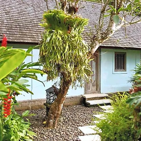 Natural View 3 Bedroom Private Villa Y034