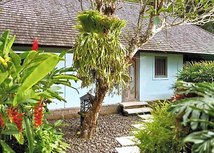 ホテル Natural View 3 Bedroom Private Y034 バリ島