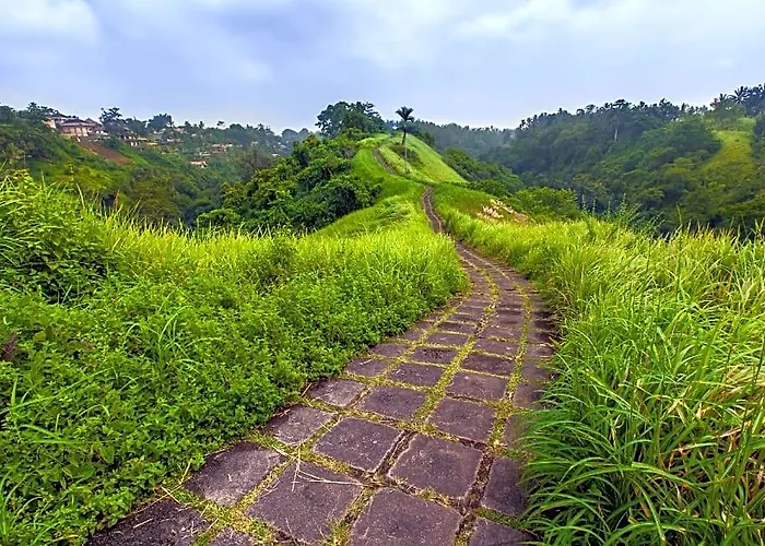 Natural View 3 Bedroom Private Y034 バリ島